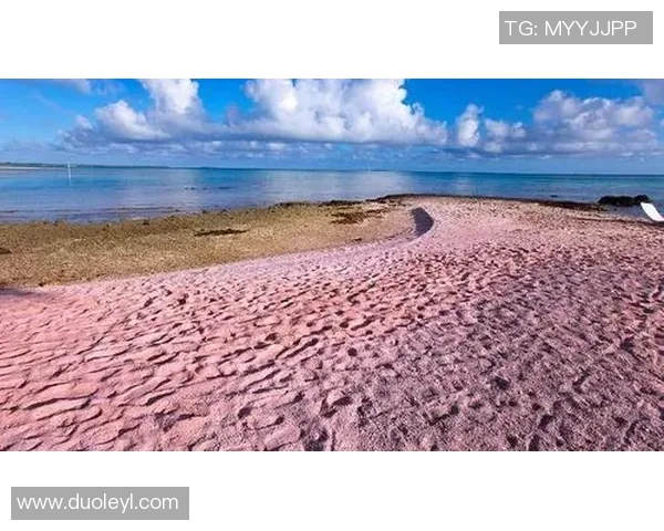 日本足球明星稻田的传奇故事与成就揭秘